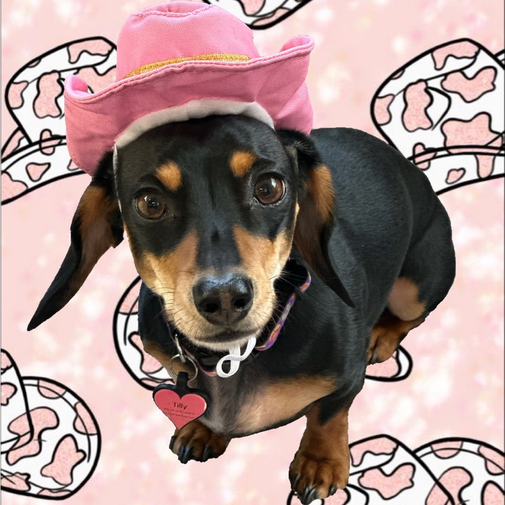 Bundles of 2+ items only pls!